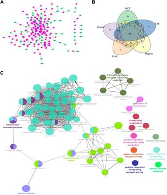 Construction and Comprehensive Analysis of the ceRNA Network to Reveal Key Genes for Benign Tracheal Stenosis